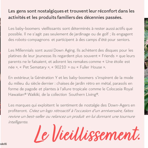 Garden Trends Report 2023 - Deuxième Partie