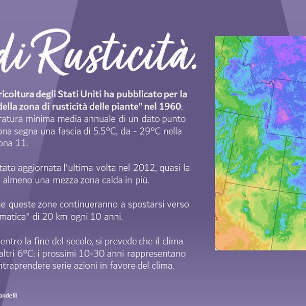 I Trend del settore Garden 2023 - 3° parte