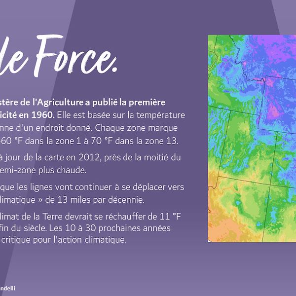 Garden Trends Report 2023 - Partie Trois