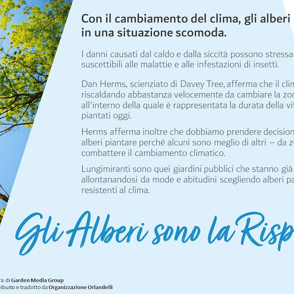 I Trend del settore Garden 2023 - 3° parte