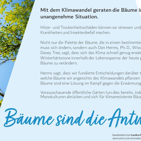 Garden Trends Report 2023 - Teil Drei