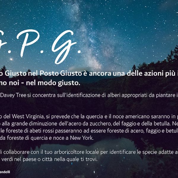 I Trend del settore Garden 2023 - 3° parte