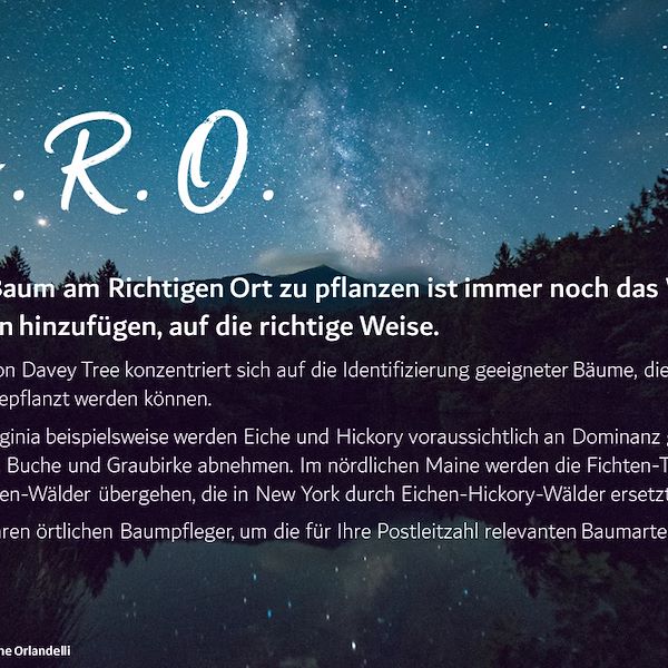 Garden Trends Report 2023 - Teil Drei