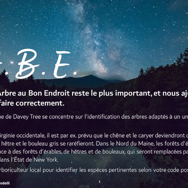 Garden Trends Report 2023 - Partie Trois