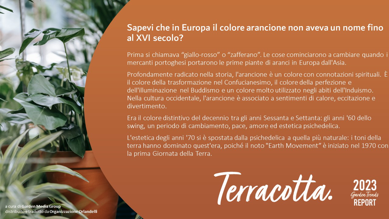 Terracotta - pag. 36