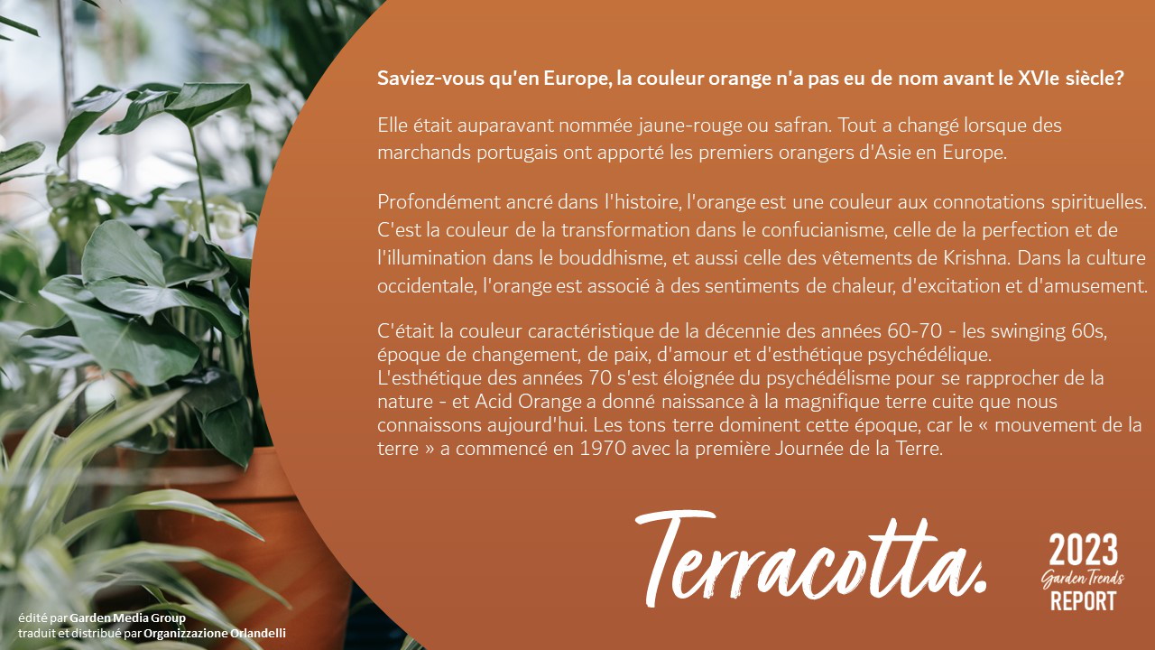 Terre cuite - pag. 36