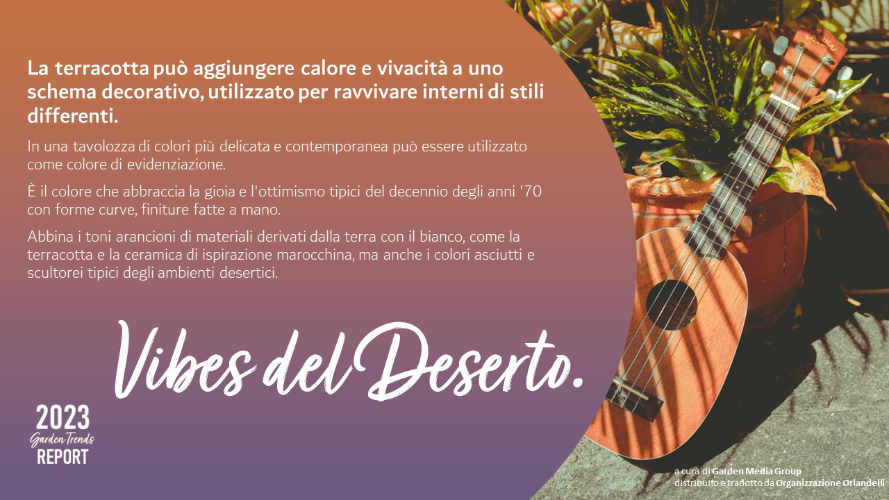 Vibes del Deserto - pag.37