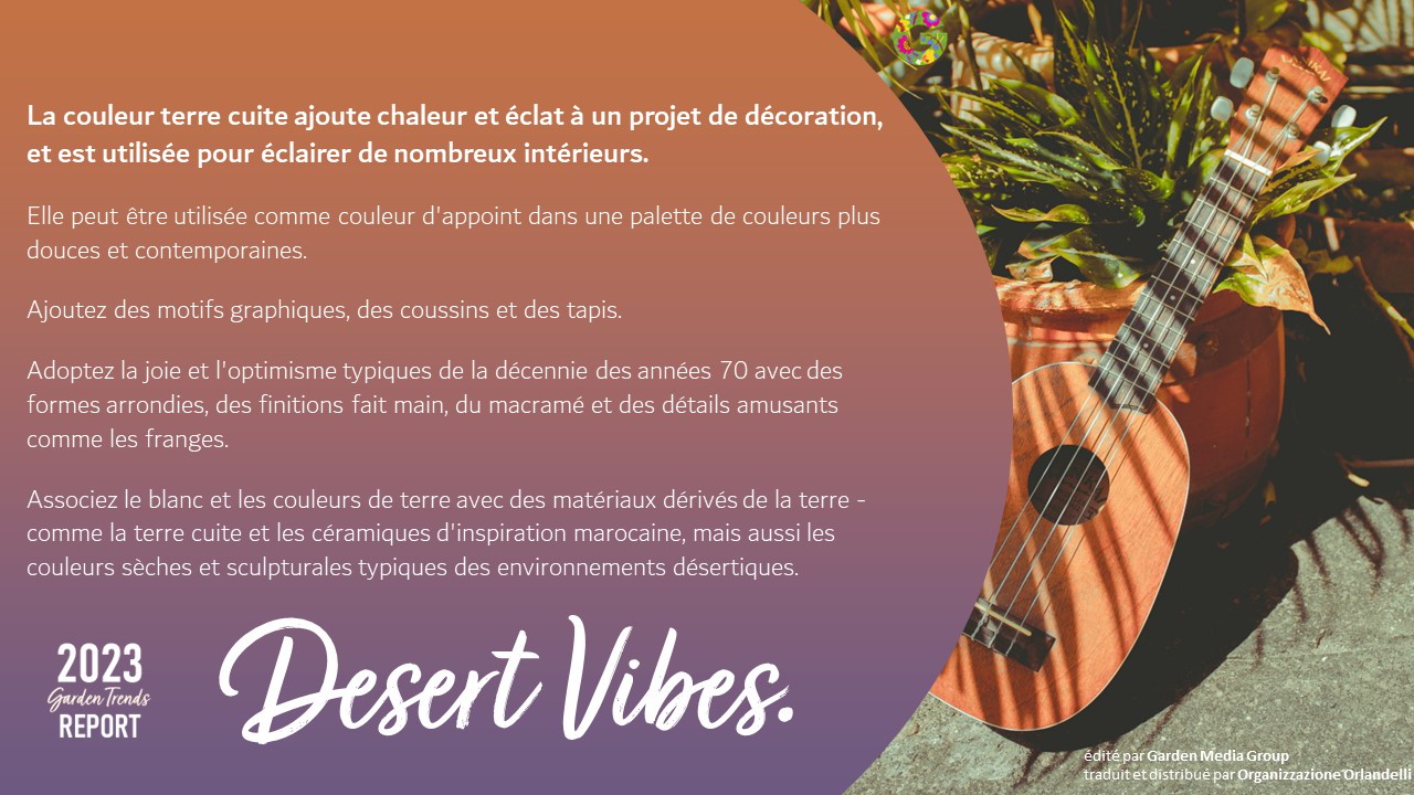 Désert Vibes - pag. 37