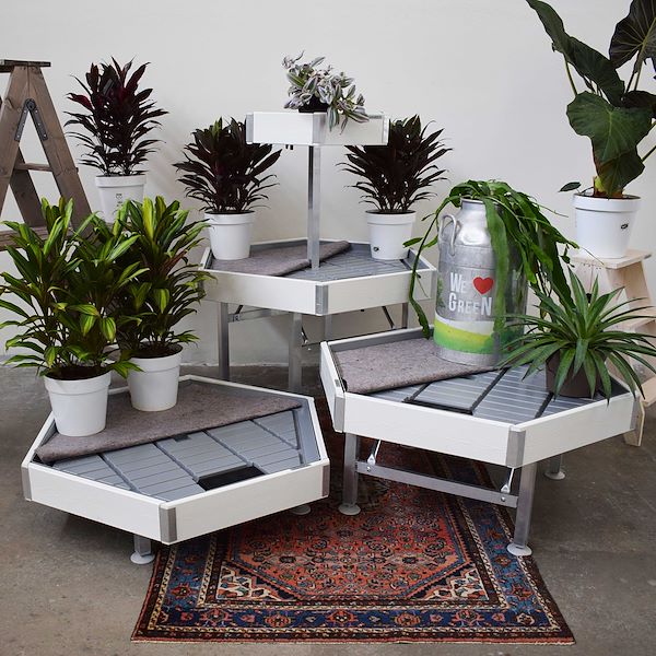 Sechseckiger Holztisch Linie Amor