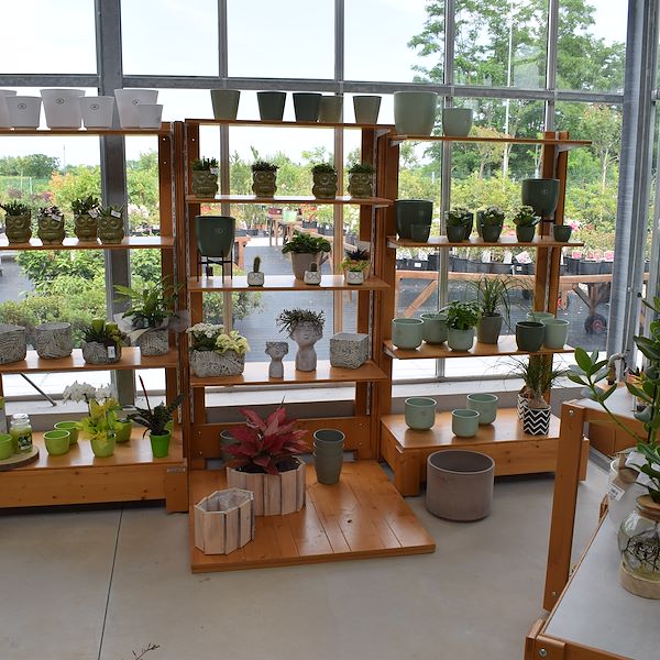 IL GARDEN CENTER FELTRINA