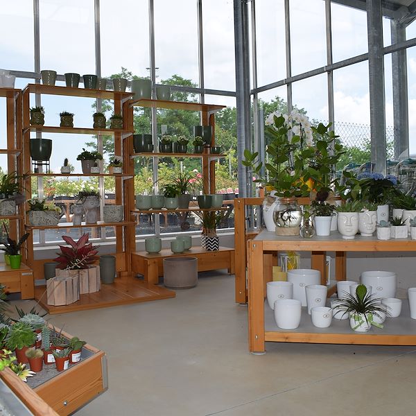 DAS GARTENZENTRUM FELTRINA