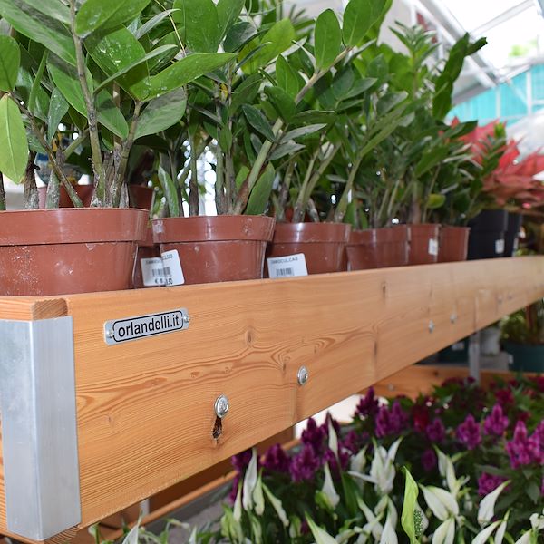 IL GARDEN CENTER FELTRINA