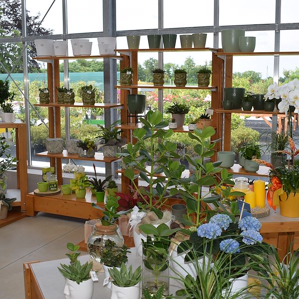 DAS GARTENZENTRUM FELTRINA