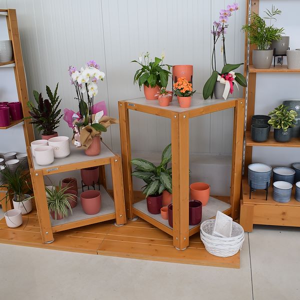 IL GARDEN CENTER FELTRINA