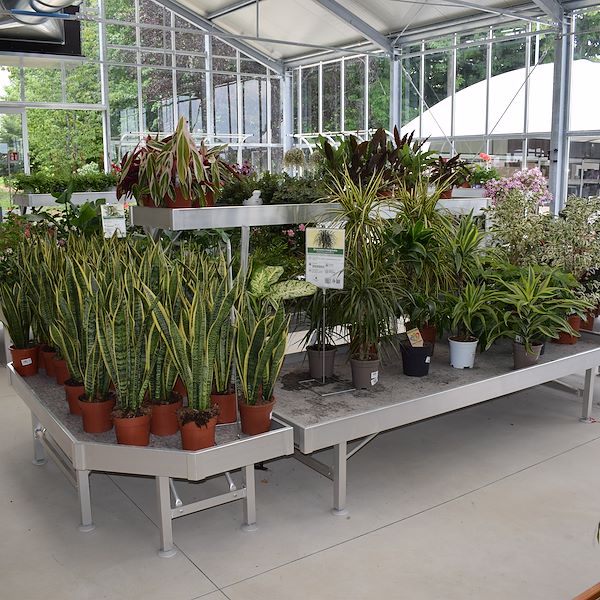 THE FELTRINA GARDEN CENTER