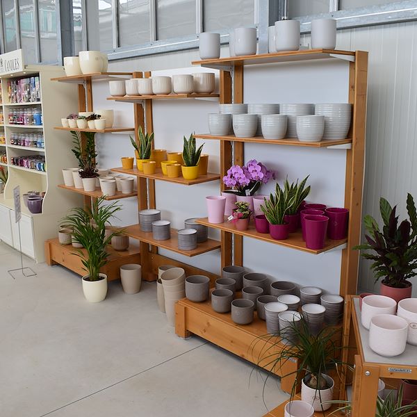 IL GARDEN CENTER FELTRINA