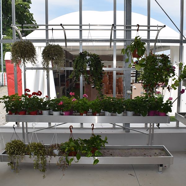 EL CENTRO DE JARDINERÍA FELTRINA