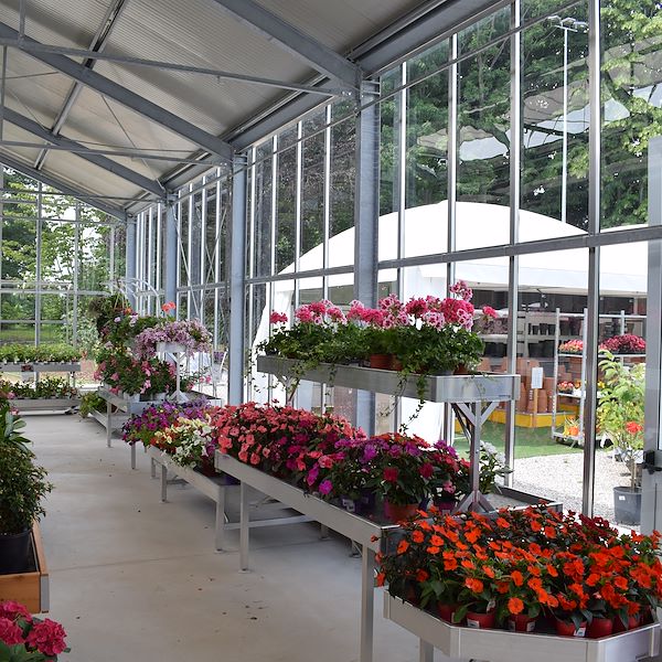 EL CENTRO DE JARDINERÍA FELTRINA