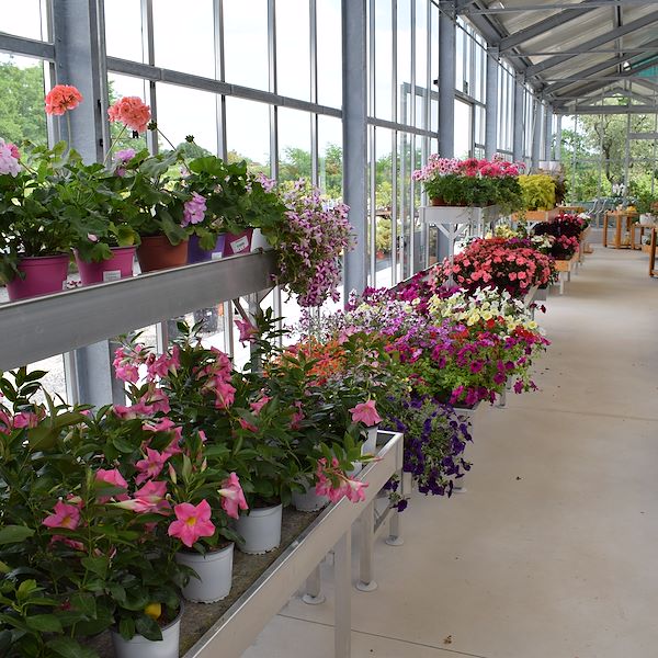 IL GARDEN CENTER FELTRINA