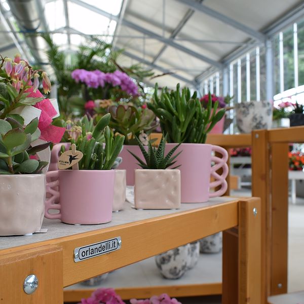 LA JARDINERIE FELTRINA