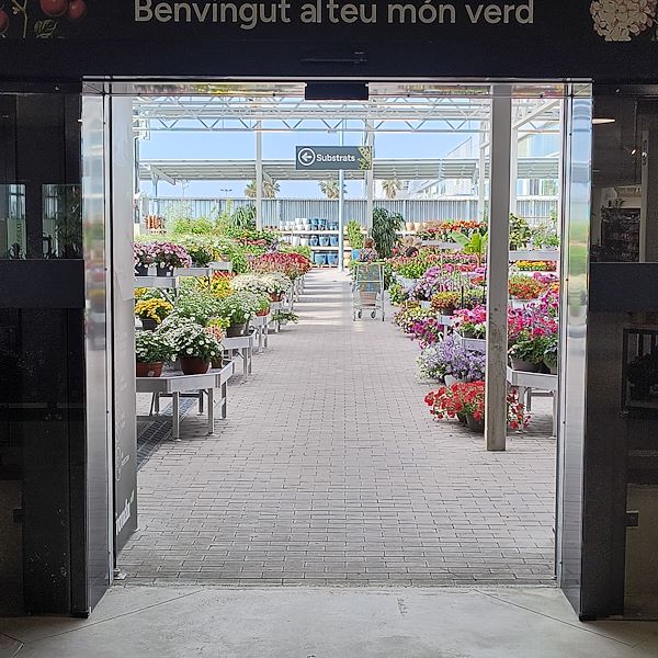 El mercado de abastos