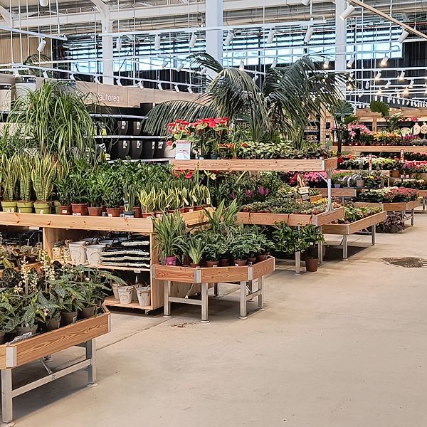 Indoor plants
