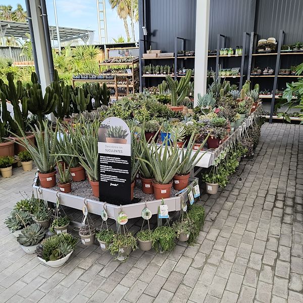 Le marché couvert