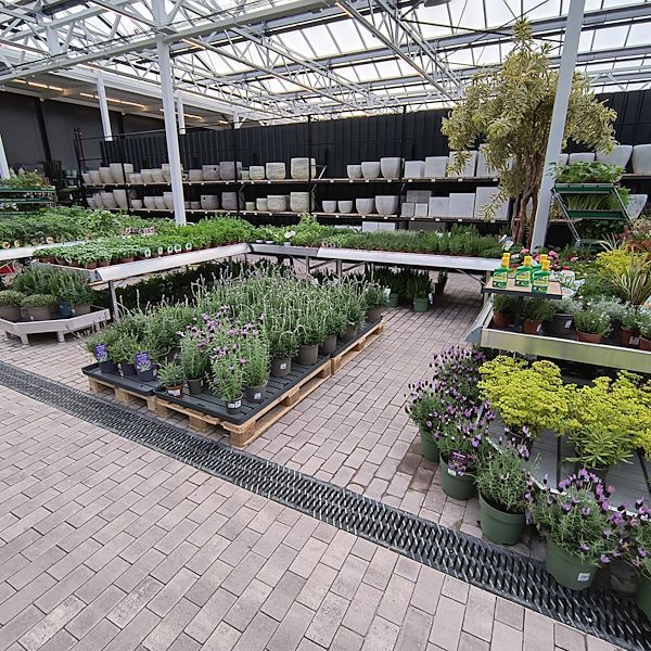 The indoor market