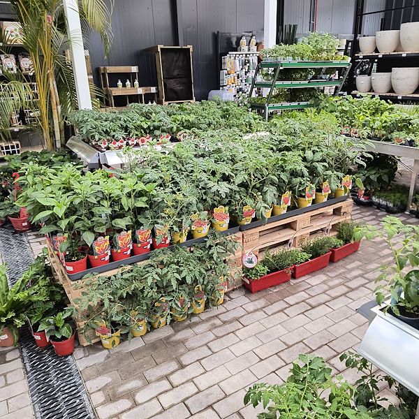 Il mercato coperto
