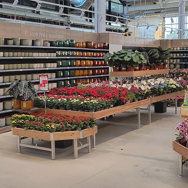Las plantas de interior