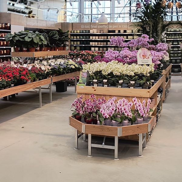Indoor plants