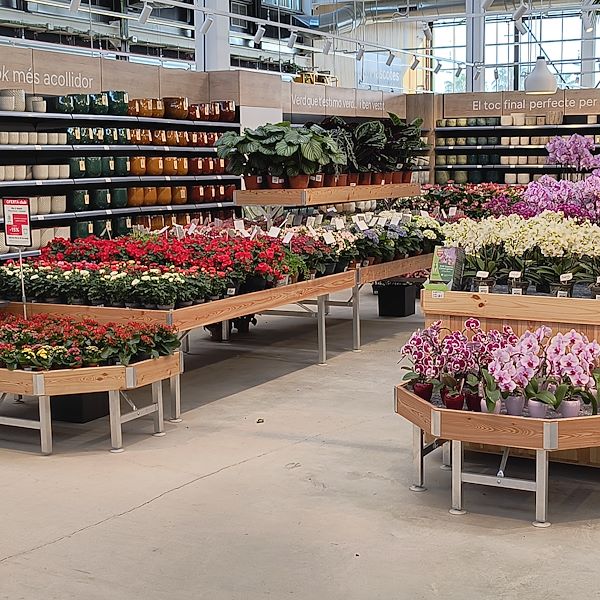 Les plantes d'intérieur