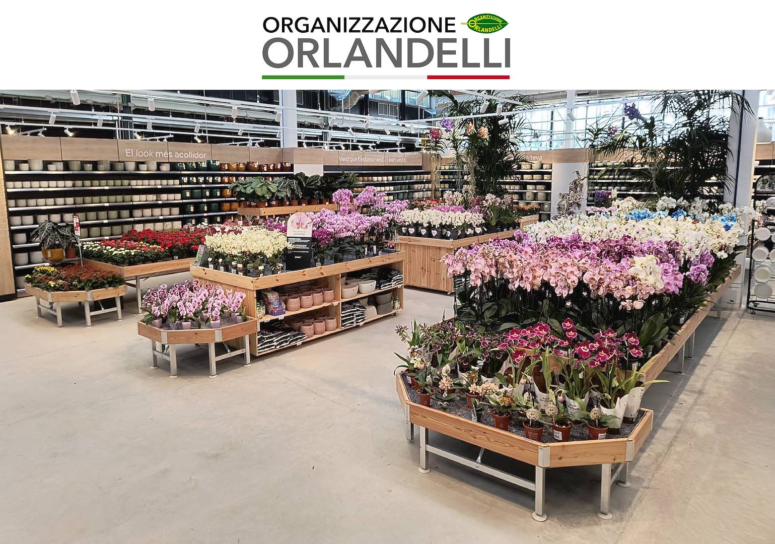 Fronda inaugura il nuovo Garden Center a Barcellona