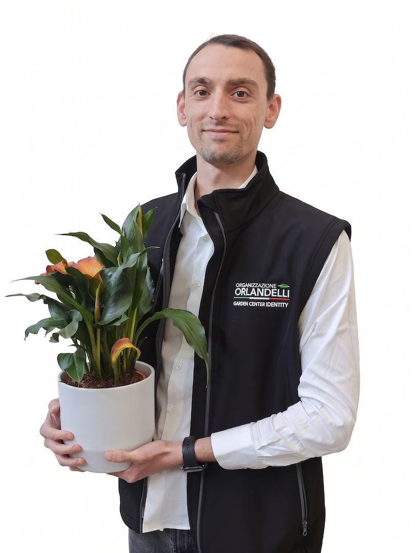 Luca Acerbi