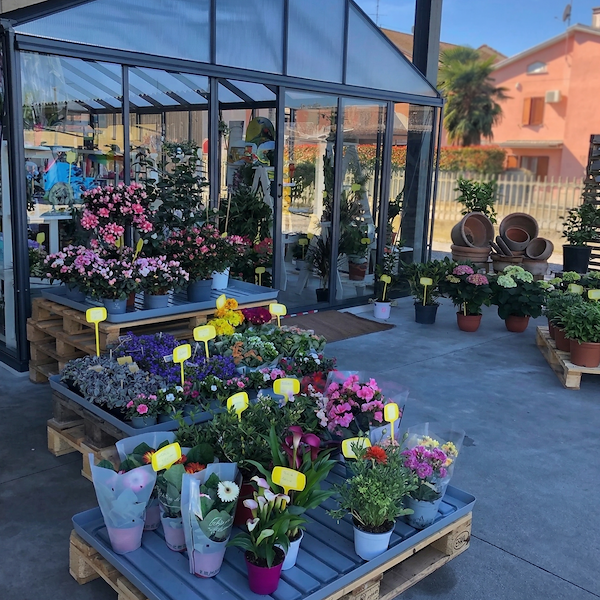 صنية مياه البليت اليورو