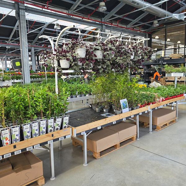 L'apertura - PRAKTIS