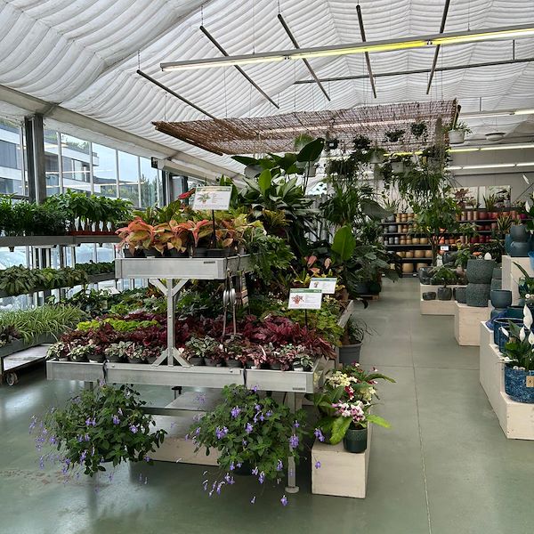Organizzazione Orlandelli в Праге с AICG