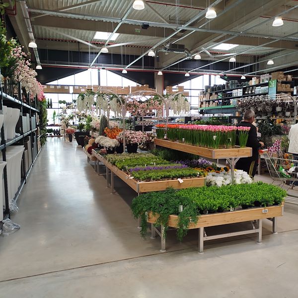 La apertura - PRAKTIS