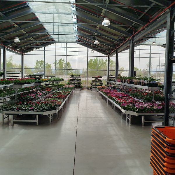 L'apertura - PRAKTIS