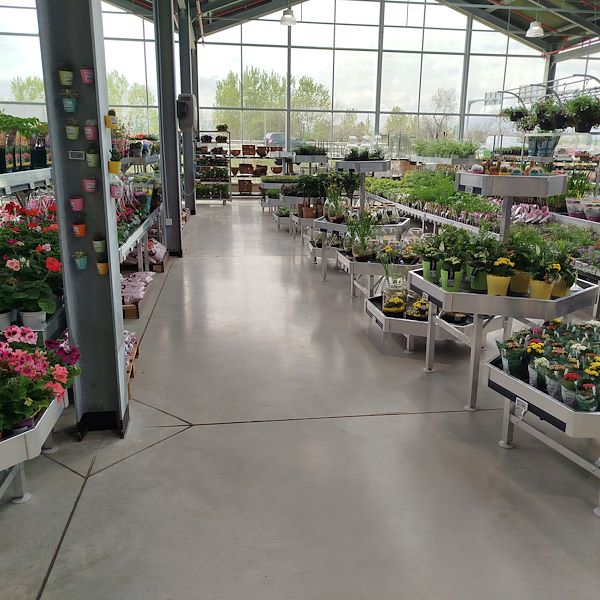 L'apertura - PRAKTIS