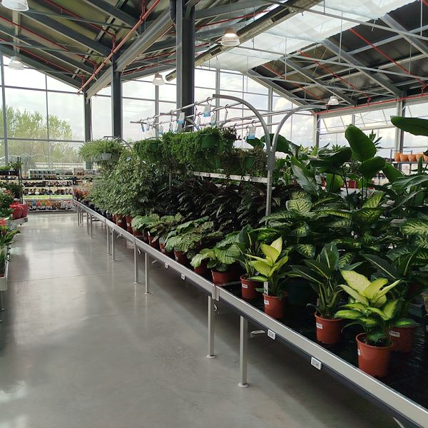 L'apertura - PRAKTIS