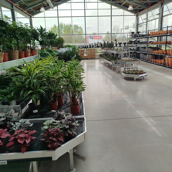 La apertura - PRAKTIS