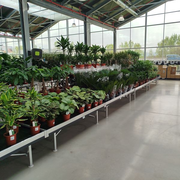 L'apertura - PRAKTIS