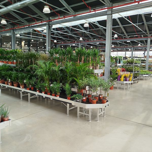 الافتتاح - PRAKTIS