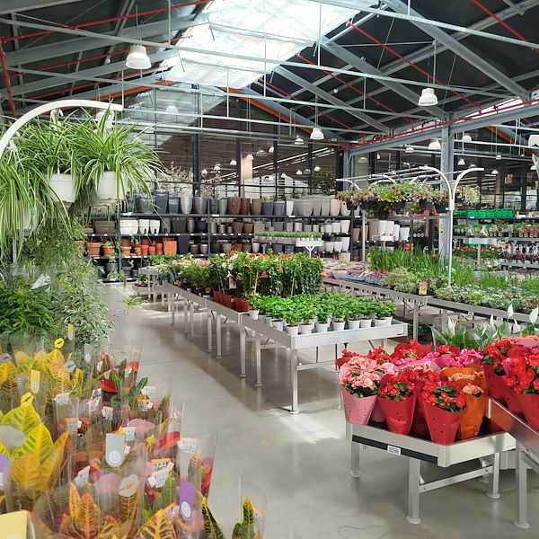 L'apertura - PRAKTIS