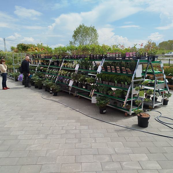 L'apertura - PRAKTIS