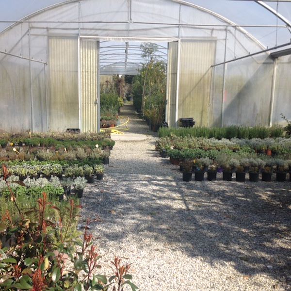 Garden Frediani prima del restyling