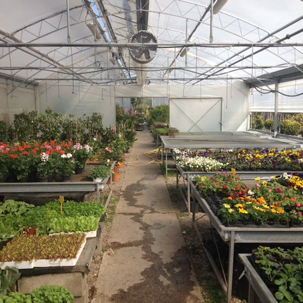 Garden Frediani prima del restyling