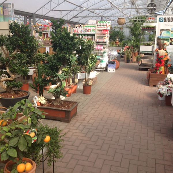 Garden Frediani prima del restyling