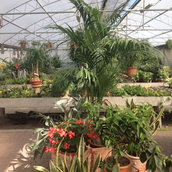 Garden Frediani prima del restyling